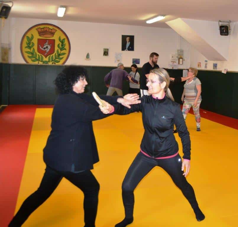 robion self defense (1)