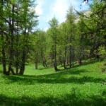 sejour randonnc3a9e de larcl c3a0 lus la croix haute 1