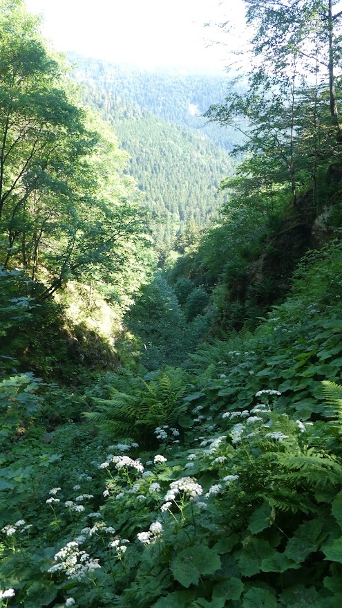 voyage en alsace du groupe de randonne pedestre de robion asso arcl 1