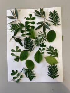 Atelier arts plastiques enfants de l ARCL a Robion : seances et creations des eleves