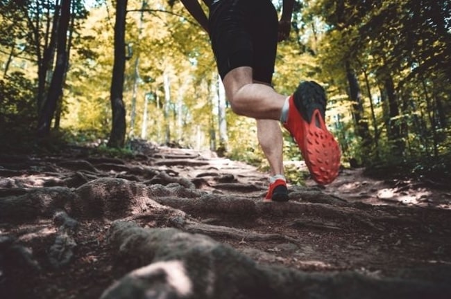 Trail